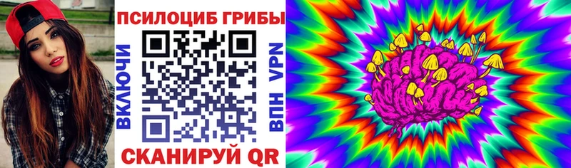 где купить наркотик  Дербент  Галлюциногенные грибы Cubensis 
