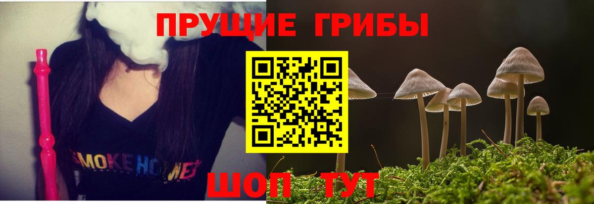 Галлюциногенные грибы Psilocybine cubensis  Псилоцибиновые грибы прущие грибы  Вход с VPN  Дербент 
