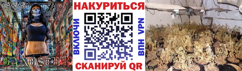 Бошки марихуана MAZAR  Дербент 